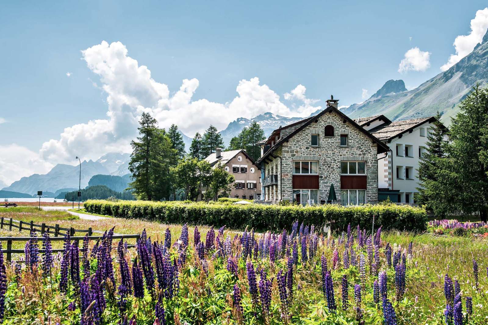 Soliva chesa hotel randolina sils engadin 06