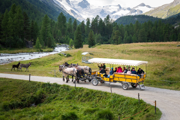 Pontresina - Wohlis Kutschbetrieb